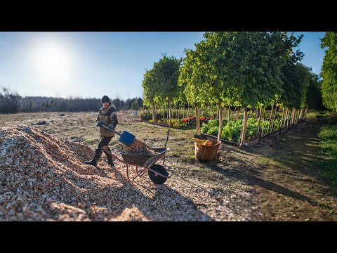 Видео: Древесная щепа - универсальный инструмент в саду и огороде