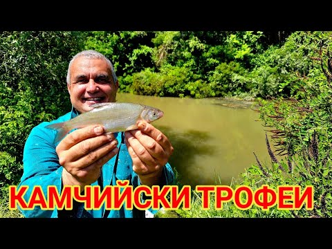 Видео: Хванах най - едрото си парче! Накъсах рибата на р.Камчия!