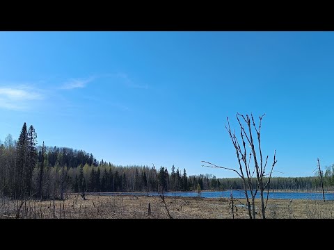 Видео: Самая высокая точка Вологодчины - Матигора (Мальгора). Еще одна пирамида!