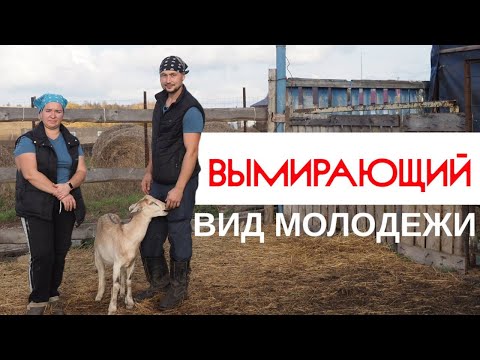 Видео: Уникальный сарай для коз из соломы и глины или Как живёт многодетная семья в деревне