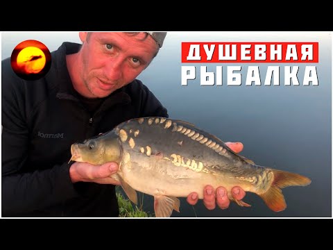 Видео: Душевная рыбалка с ночевкой / Не смогли поднять садок