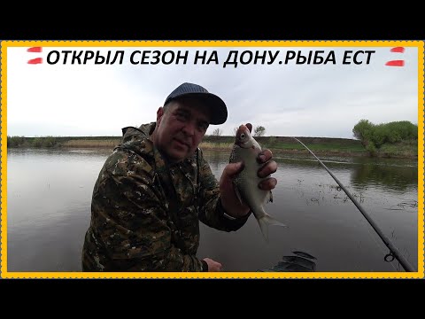 Видео: ОТКРЫТИЕ ФДЕРНОГО СЕЗОНА НА ДОНУ, РЫБЫ НАЛОВИЛ, КОТ ФИЛЯ С НАМИ !!!