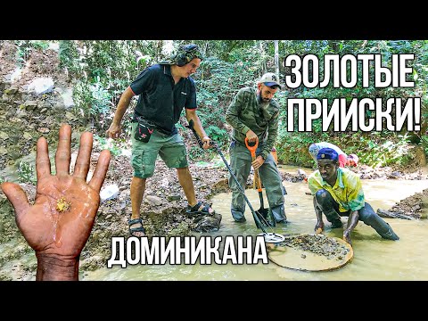 Видео: Золото прямо под ногами! Собираем золотые самородки и моем на золотых приисках в джунглях Доминиканы