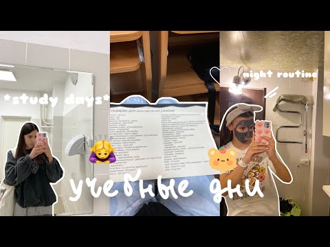 Видео: Учебные дни в университете🙇‍♀️ // study with me