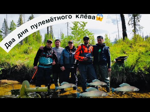 Видео: Два дня пулеметного клёва. Часть первая. Рыбалка на хариуса. Рыбалка на горной реке. Водомёт