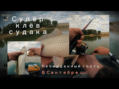 Видео: Супер клев Судака и Бонус