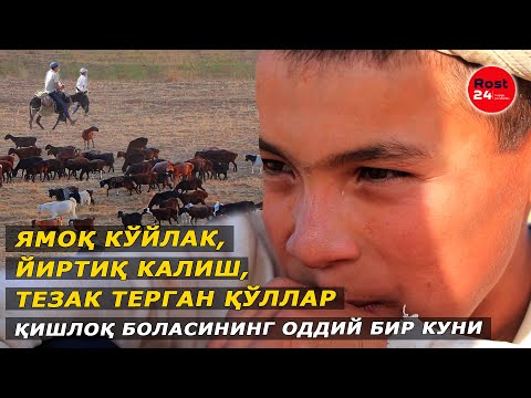 Видео: Ямоқ кўйлак, йиртиқ калиш, тезак терган қўллар — қишлоқ боласининг оддий бир куни.