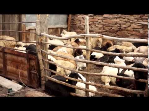 Видео: "Неизведанный Казахстан". Кызыл арай. Эфир 30-08-2013 1 ЧАСТЬ