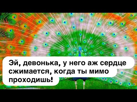 Видео: ТАРО В НЬЮ-ЙОРКЕ | Что он думает когда видит тебя? 🤪💕