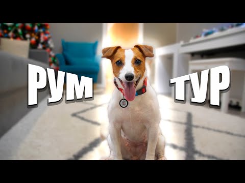 Видео: Рум Тур Глазами Собаки | Добро Пожаловать в SWEET HOME🐾