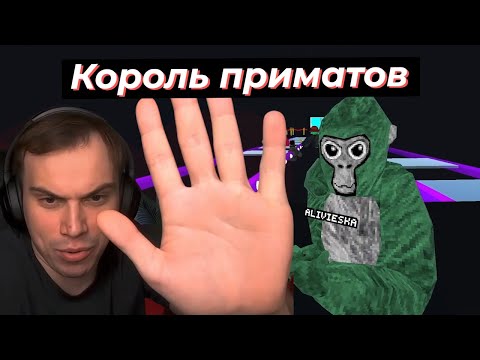 Видео: ГЛЕБ ИГРАЕТ ИГРЫ КАЛЬМАРА СО ЗРИТЕЛЯМИ в GORILLA TAG  | SASAVOT #twitch #streamer #sasavot #сасавот