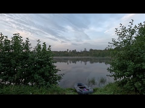 Видео: Щука и окунь на силикон Keitech. Рыбалка в Брянской области.