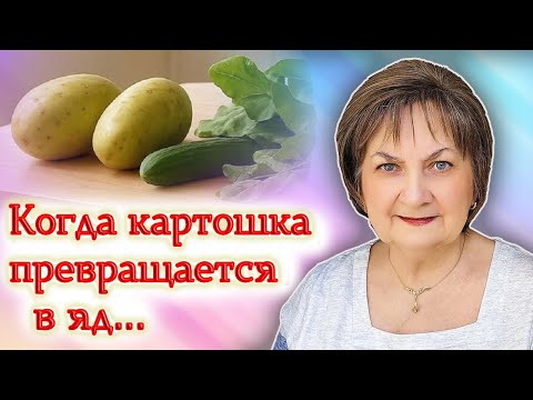 Видео: Зелёная картошка и горькие огурцы: когда любимые овощи становятся ядом