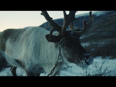Видео: Окинский Район