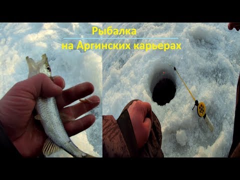 Видео: Рыбалка на Аргинских карьерах .(Амурская область )