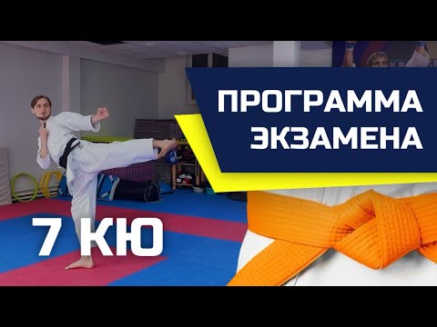 Видео: Аттестация на 7 КЮ каратэ WKF - экзамен на оранжевый пояс