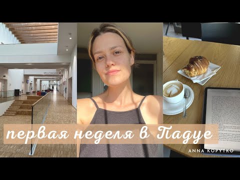 Видео: экскурсия по городу, подача на ВНЖ, интервью с новыми учителями и первые знакомства в городе