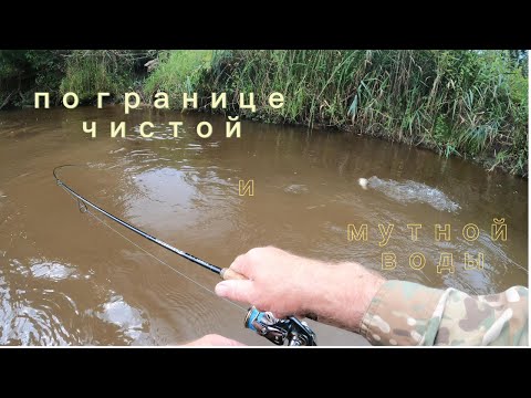 Видео: по границе чистой и мутной воды