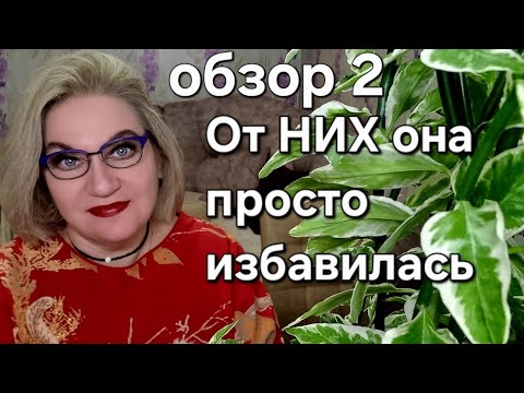 Видео: От НИХ она просто избавилась❗️