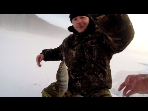 Видео: Лучшая Зимняя рыбалка