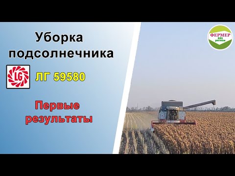 Видео: Уборка подсолнечника | LG 59580 | Первые результаты