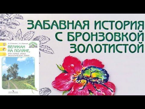 Видео: Забавная история с бронзовкой золотистой. Великан на поляне