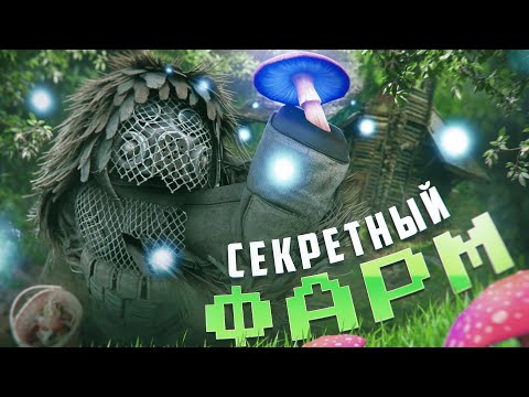 Видео: +10.000 ГРИБОВ В ЧАС I ЛУЧШИЙ ФАРМ ГРИБОВ В СТАЛКРАФТ