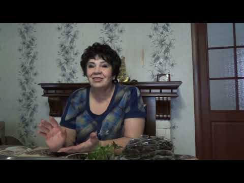 Видео: Бальзамин новогвинейский, как правильно посадить и ухаживать в домашних условиях?