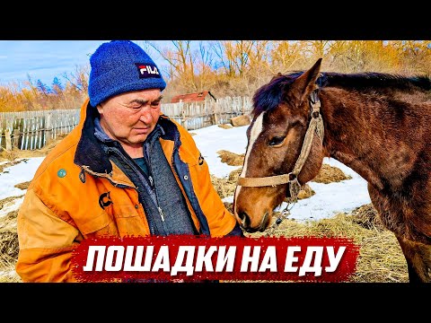 Видео: Неудачные поиски | Башкортостан, Стерлибашевский р/н д. Верхнешакарово