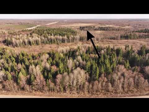 Видео: В поисках следов строительства ВСМ