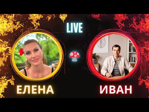 Видео: МУХОМОР И ДЕНЬГИ