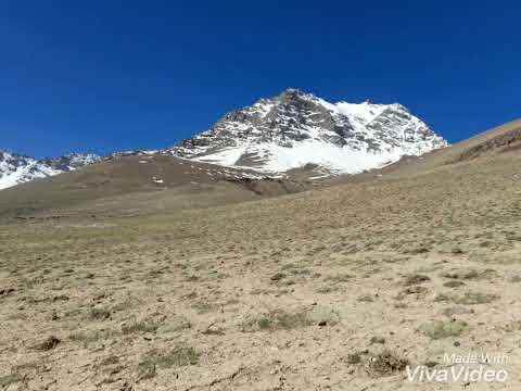 Видео: 18 июля 2025 г.
