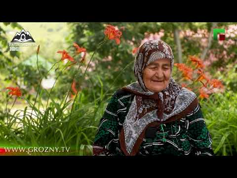 Видео: Султанова Замани - Хорача йуьртан йахархо