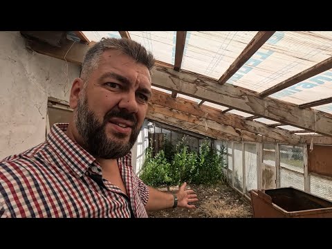 Видео: НУЖЕН ВАШ СОВЕТ! ВЛОГ ИЗ КЧР. Про два моих дома в горах - ПРЕГРАДНАЯ, КУРДЖИНОВО