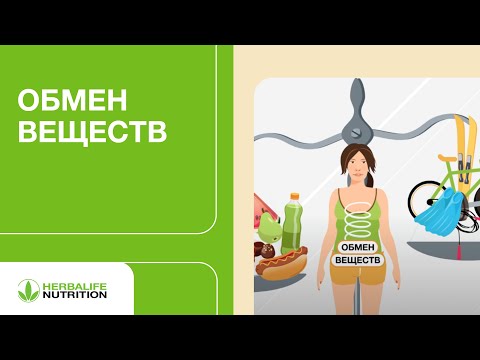 Видео: Обмен веществ