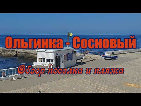 Видео: ОЛЬГИНКА - СОСНОВЫЙ / Обзор поселка и пляжа