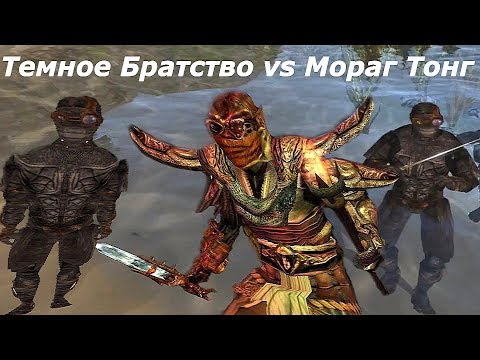 Видео: Разборки Темного братства с Мораг Тонгом ➤ Краб торговец и Руины Мзанча.