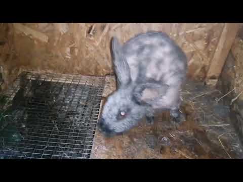 Видео: #Стройка День 4