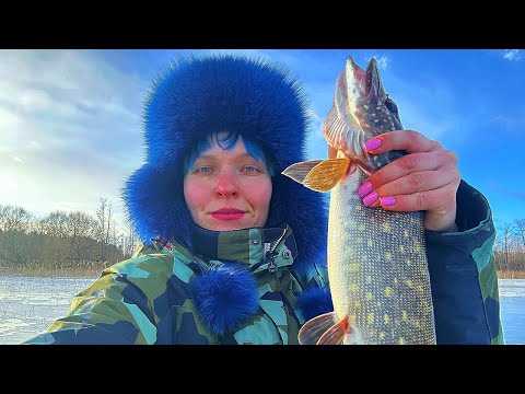 Видео: ДВА ДНЯ НА ОЗЕРЕ в палатке. Зимняя рыбалка. БАНЯ НА ЛЬДУ. #424