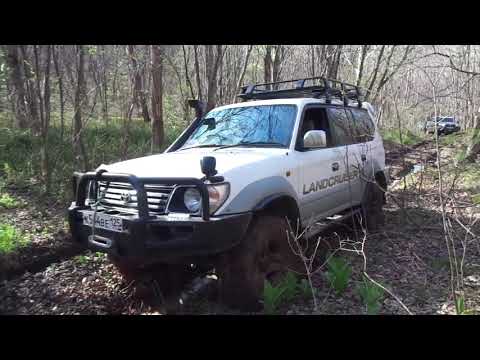 Видео: Тайга  2021