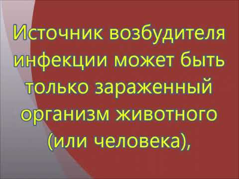 Видео: Видеолекция 5. Эпизоотический процесс