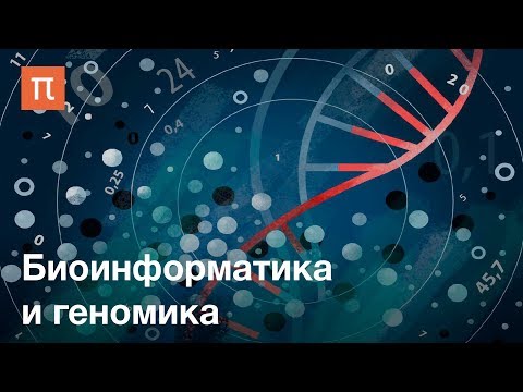 Видео: Биоинформатика и геномика — курс Михаила Гельфанда