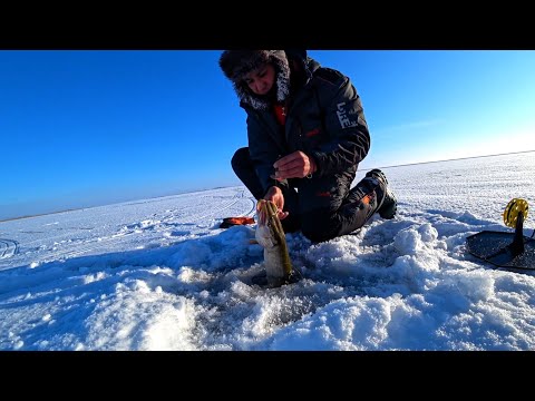 Видео: Отвёл душу на первом льду! Щука на жерлицы! Первый Лёд 2020-2021!