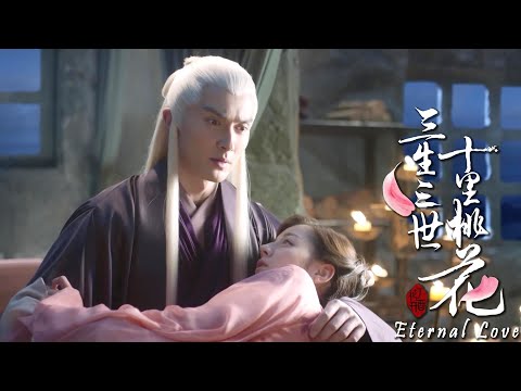 Видео: Лисенок от любви купировал хвост, и императору наконец стало грустно😢