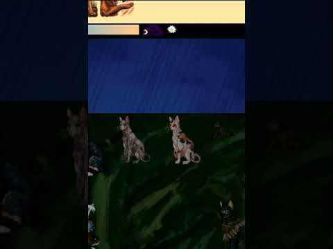 Видео: ПРОБЛЕМА РЕШЕНА~| Catwar