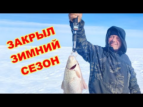 Видео: Крупный карась клюет только ночью. Последняя рыбалка в сезоне. Съёмка карася на подводную камеру.