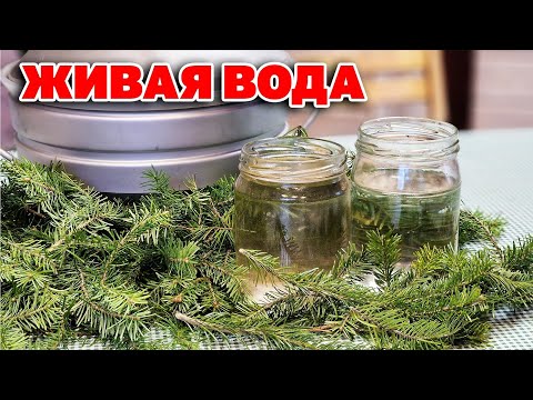 Видео: ЦЕЛЕБНАЯ ВОДА улучшит ИММУНИТЕТ ОМОЛАЖИВАЕТ ГИДРОЛАТОР ЕВА  аппарат для СЕМЬИ @obovsemsmarusya