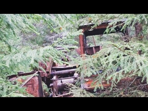 Видео: На вахте, нашли трактор тдт 55.