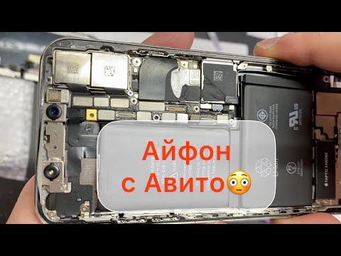 Видео: Ума дали - Айфону с Авито!