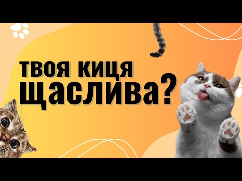 Видео: ЧИ ЩАСЛИВА ТВОЯ КІШКА? — 7 ПРАВИЛ, ЩОБ ЗРОБИТИ ЖИТТЯ КОТИКА ЩАСЛИВИМ